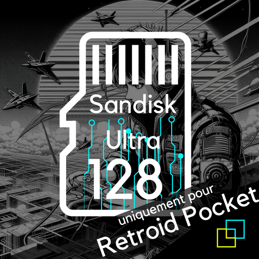 Carte mémoire Sandisk pour Retroid