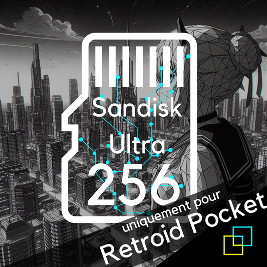 Carte mémoire Sandisk pour Retroid