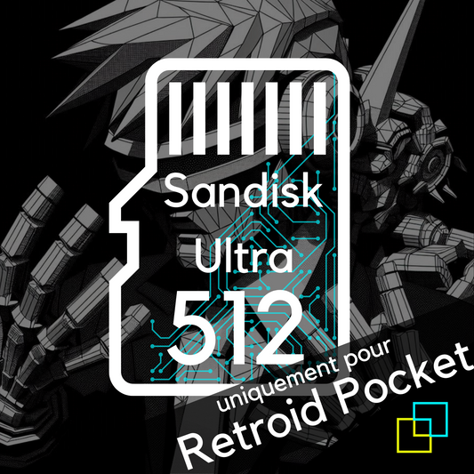 Carte mémoire Sandisk pour Retroid