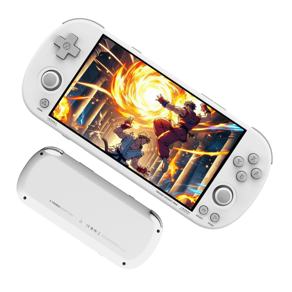 Console émulateur Trimui Smart Pro