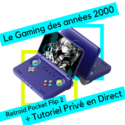 Retroid Pocket Flip 2 | Advance Pack