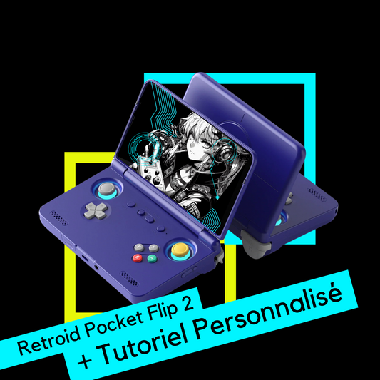 Retroid Pocket Flip 2 | Advance Pack