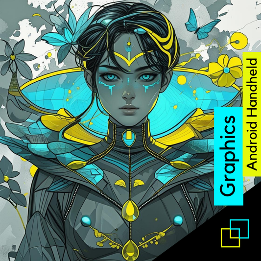 III - Options graphiques